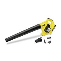 Set LBL 2 Suflanta Frunze 18V